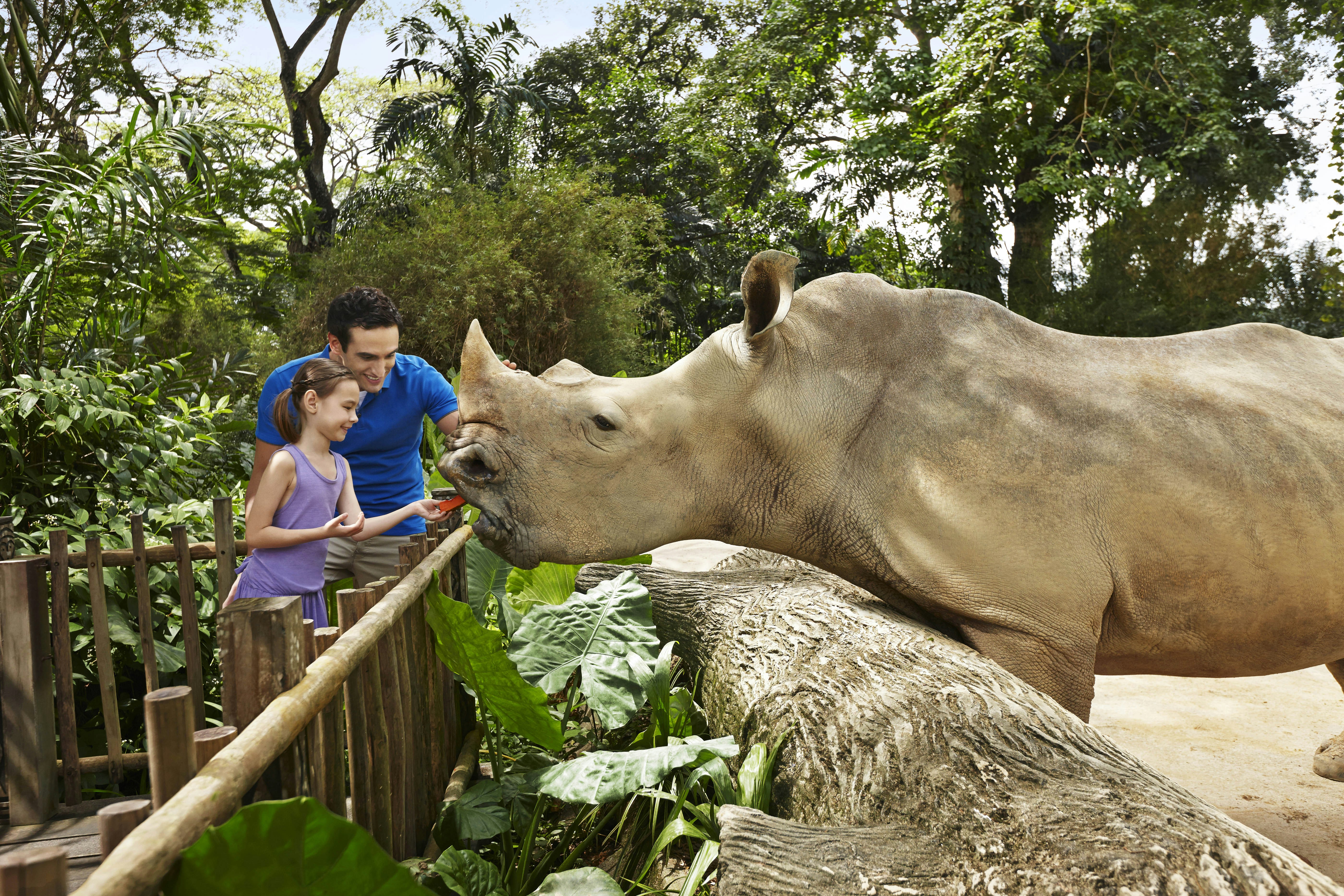 Singapore Zoo