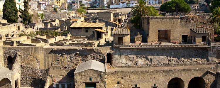 Herculaneum Ruins Guided Tours