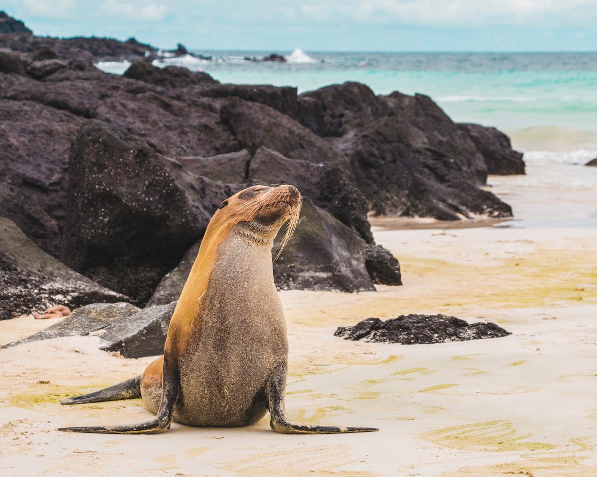 safe female solo travel destinations-Galápagos