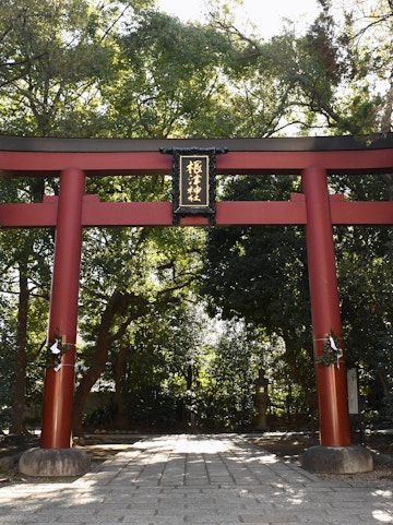Nikko World Heritage site with historic temples and lush greenery in Tokyo, Japan.