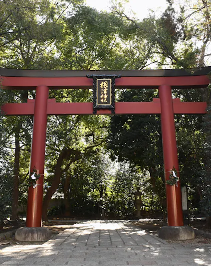 Nikko World Heritage site with historic temples and lush greenery in Tokyo, Japan.