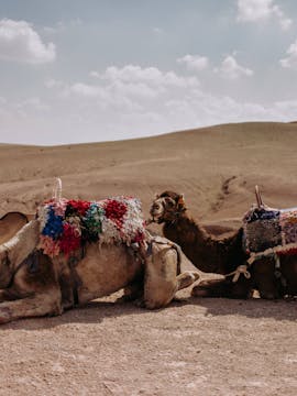 Agafay Desert Tour