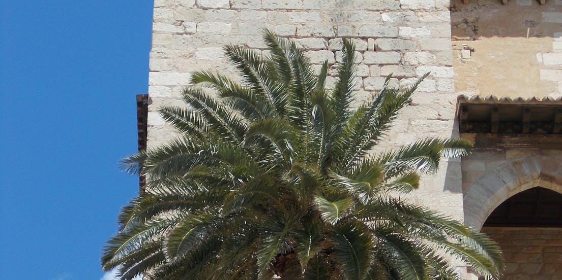 Royal Palace of La Almudaina