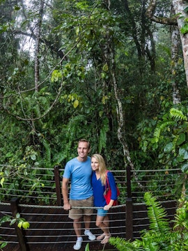 Visitors on a boardwalk in Kuranda rainforest, Cairns, surrounded by lush greenery.