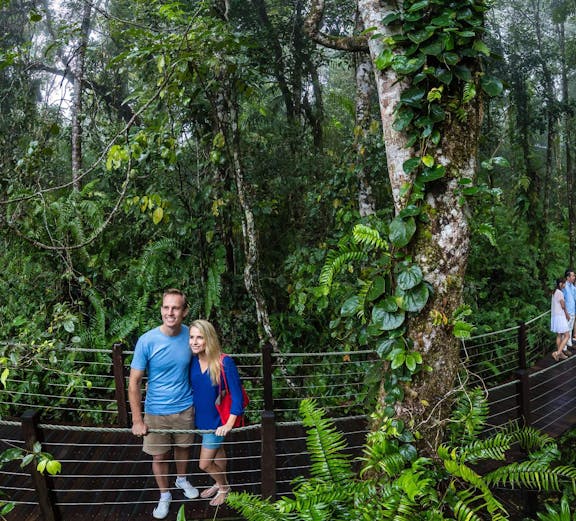 Visitors on a boardwalk in Kuranda rainforest, Cairns, surrounded by lush greenery.