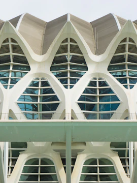 Príncep Felipe Science Museum facade with geometric windows in Valencia, Spain.
