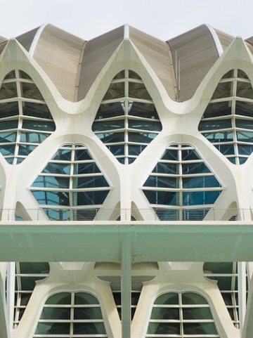 Príncep Felipe Science Museum facade with geometric windows in Valencia, Spain.
