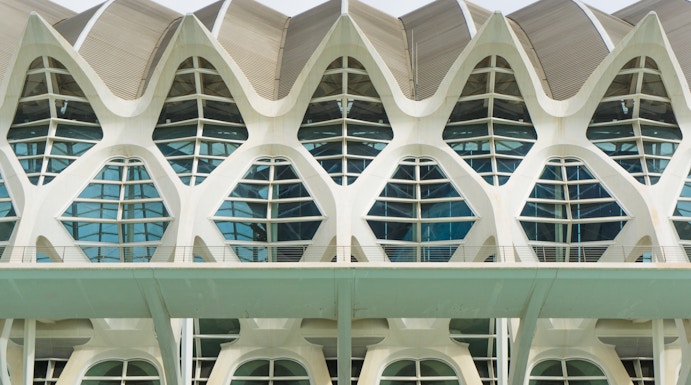 Príncep Felipe Science Museum facade with geometric windows in Valencia, Spain.