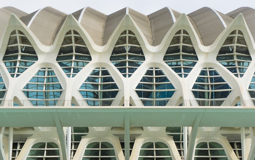 Príncep Felipe Science Museum facade with geometric windows in Valencia, Spain.