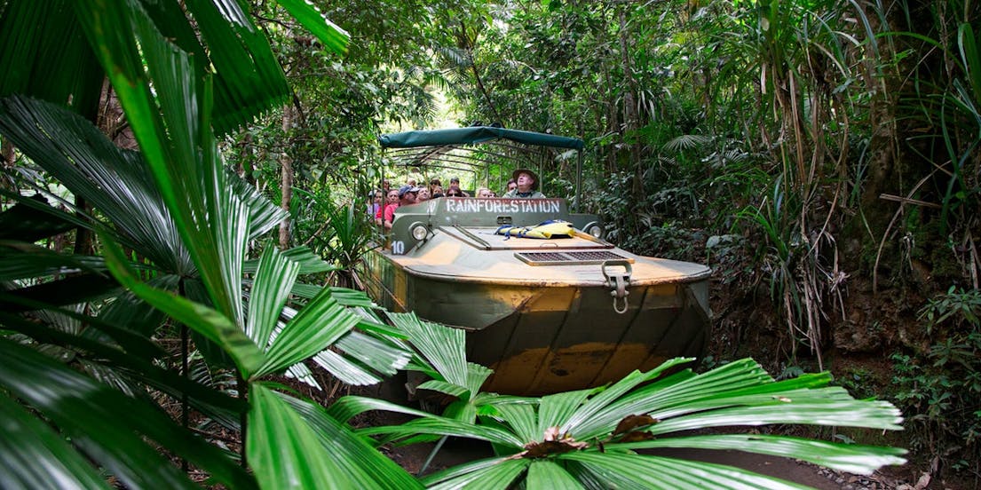 Natuurpark Regenwoud