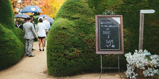 Ashcombe Maze Tickets