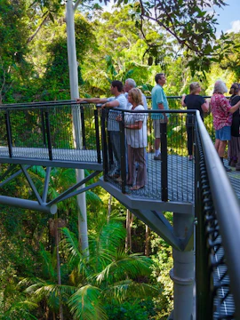 Visitors on Tamborine Rainforest Skywalk, Gold Coast, surrounded by lush greenery.