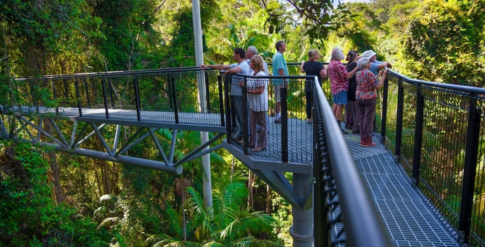 Tamborine Rainforest Skywalk Tickets