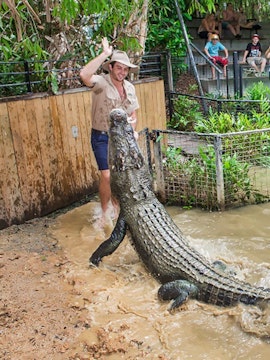 Crocodile feeding show at Hartley's Crocodile Adventures, Cairns, with audience watching.