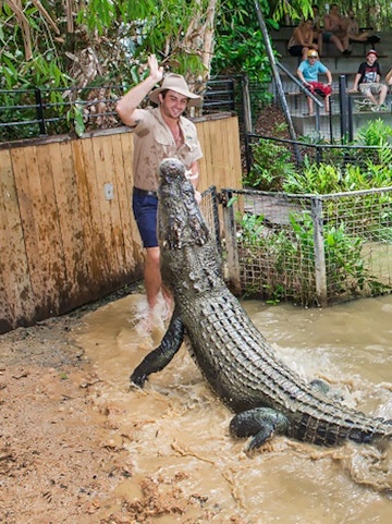 Crocodile feeding show at Hartley's Crocodile Adventures, Cairns, with audience watching.