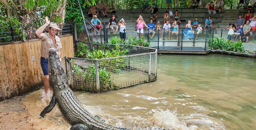 Hartley's Crocodile Adventures