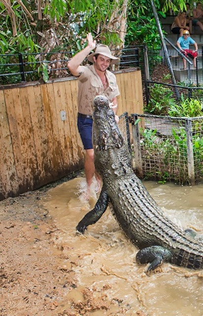 Crocodile feeding show at Hartley's Crocodile Adventures, Cairns, with audience watching.