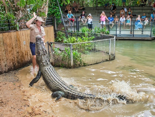 Crocodile feeding show at Hartley's Crocodile Adventures, Cairns, with audience watching.