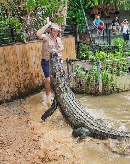 Crocodile feeding show at Hartley's Crocodile Adventures, Cairns, with audience watching.