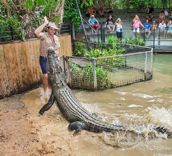Crocodile feeding show at Hartley's Crocodile Adventures, Cairns, with audience watching.