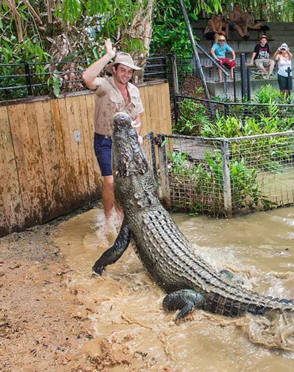 Crocodile feeding show at Hartley's Crocodile Adventures, Cairns, with audience watching.