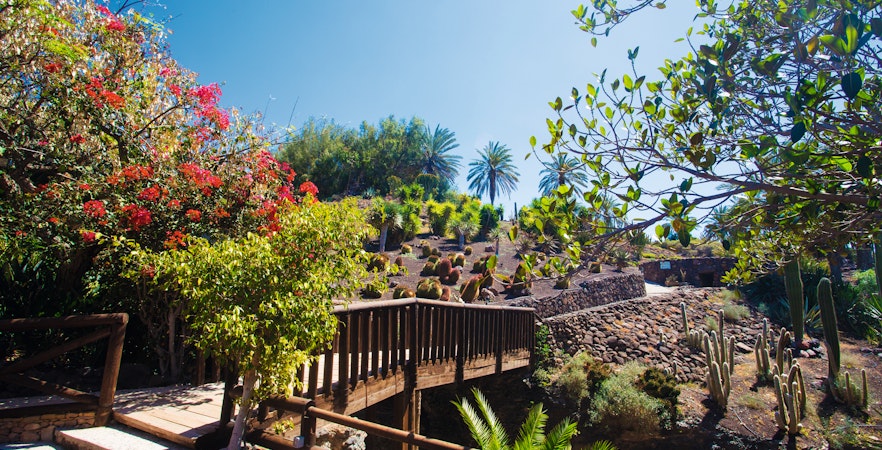 Oasi della fauna selvatica