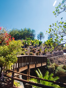 Oasis Wildlife Park entrance with visitors in Fuerteventura, showcasing exotic animal habitats.
