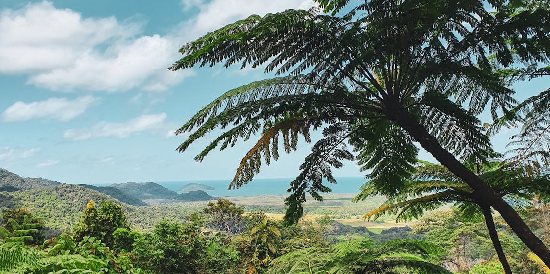 Parco Nazionale di Daintree