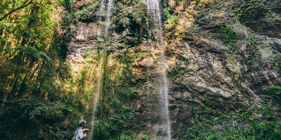 Springbrook National Park Tours