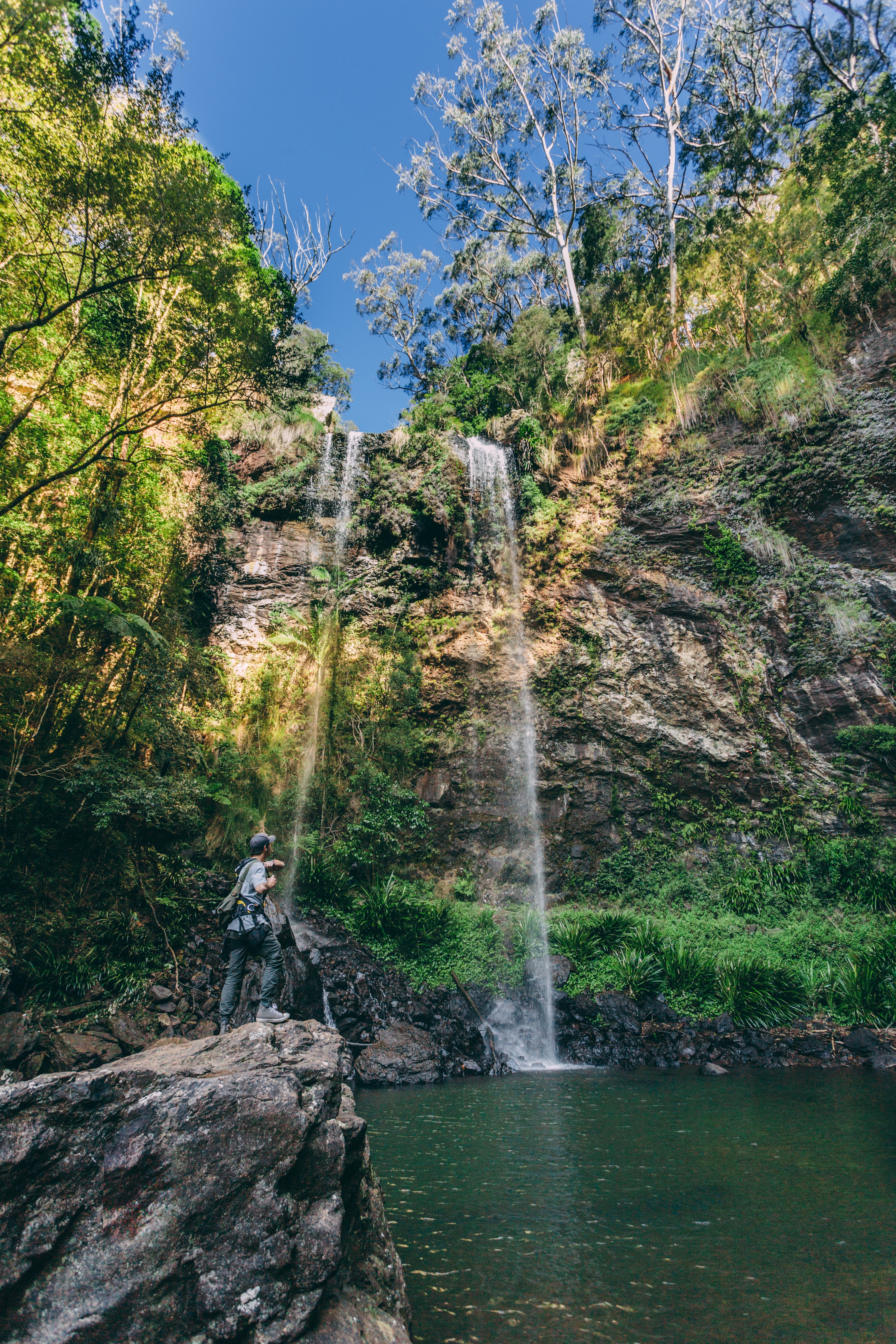 Springbrook National Park Tours