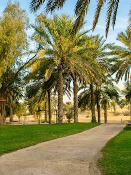 Dubai Safari Park Tickets