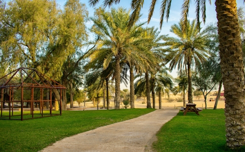 Dubai Safari Park Tickets