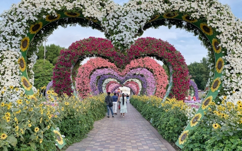 Dubai Miracle Garden Tickets