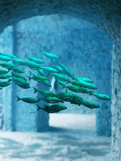 School of fish swimming through stone arches at Atlantis Aquarium Madrid.