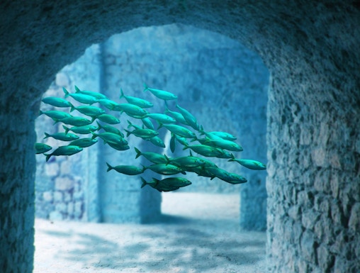 School of fish swimming through stone arches at Atlantis Aquarium Madrid.