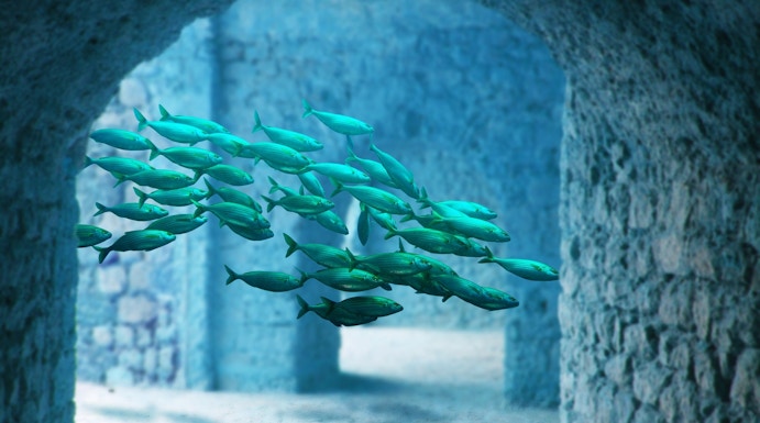 School of fish swimming through stone arches at Atlantis Aquarium Madrid.