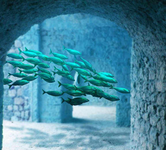 School of fish swimming through stone arches at Atlantis Aquarium Madrid.