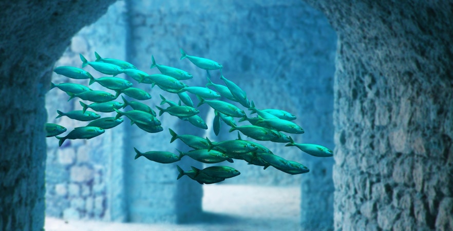 Atlantis Aquarium Madrid