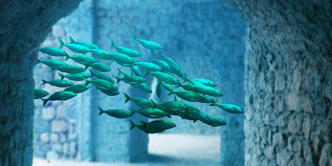 Ingressos Atlantis Aquarium Madrid