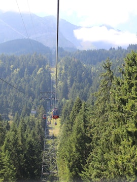 Cable cars ascending Mount Rigi through dense forest, Switzerland.