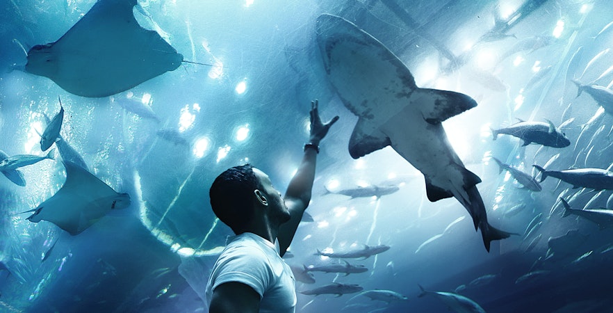 New Attractions in Dubai