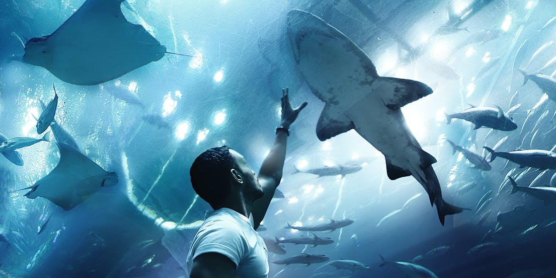 New Attractions in Dubai