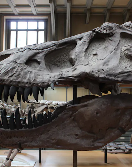 Dinosaur skull exhibit at Dinópolis in Seville.