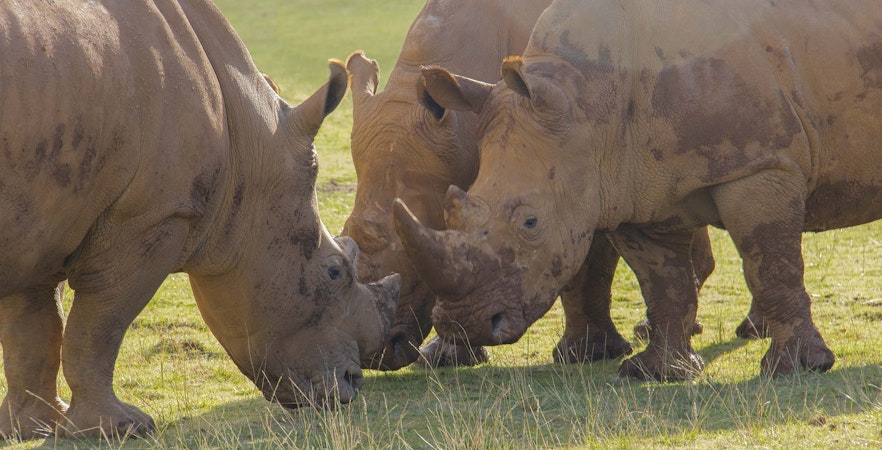 Parque de la Naturaleza de Cabárceno