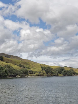 Coromandel Peninsula landscape with rolling hills and coastal view, Auckland.