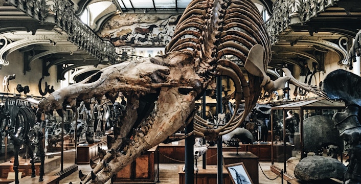 Lee Kong Chian Natural History Museum Tickets