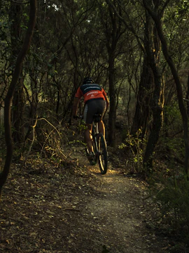 Cyclist on forest trail in Pulau Ubin, Singapore.