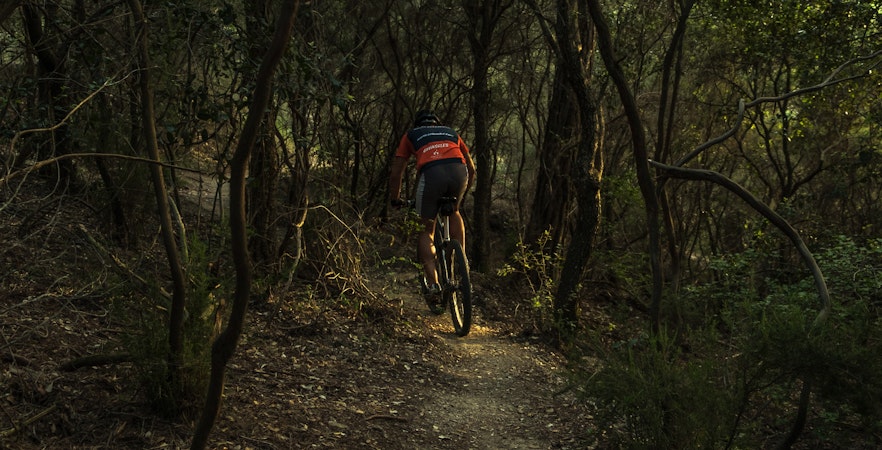 Pulau Ubin Activities Tickets