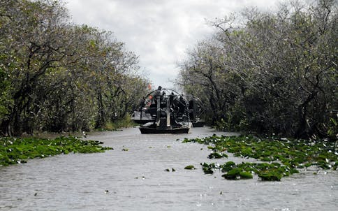 Everglades