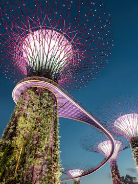 Supertree Grove at Gardens by the Bay, Singapore, with illuminated walkways.